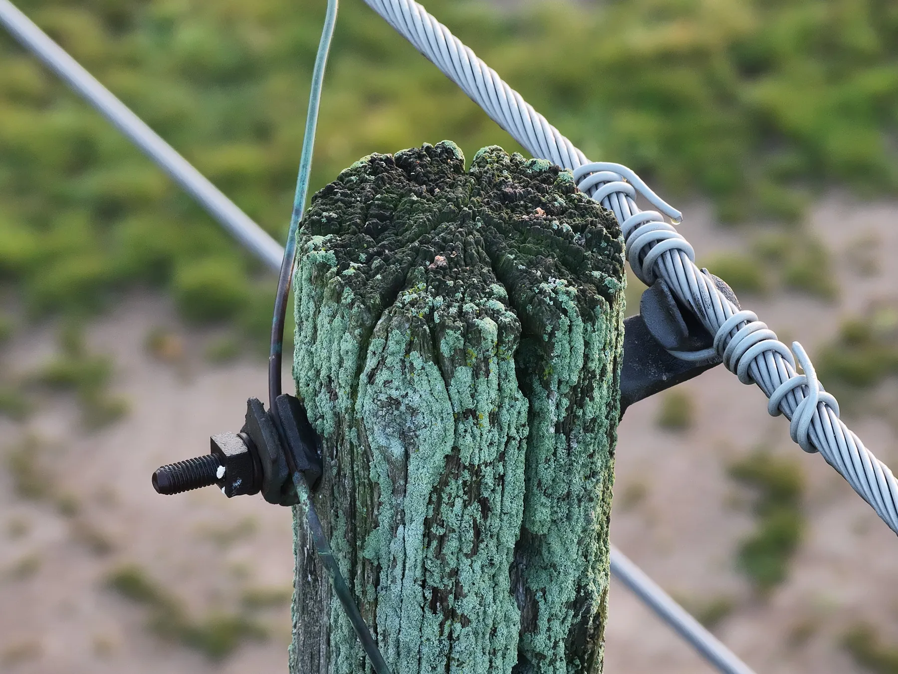 Close-up drone photo from the side of a weathered, lichen-covered wooden pole top with decay around the bolts and attached hardware