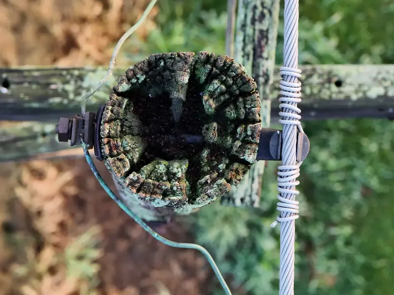 Drone photo looking straight down into a wooden pole top that is rotted, split and hollowed out, a defect that cannot be seen from the ground